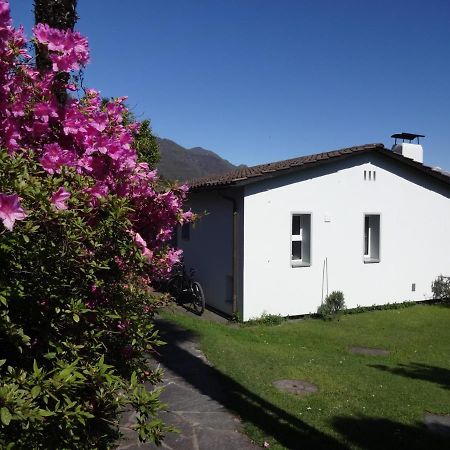Residenza Paradiso Di Vacanze Minusio 외부 사진