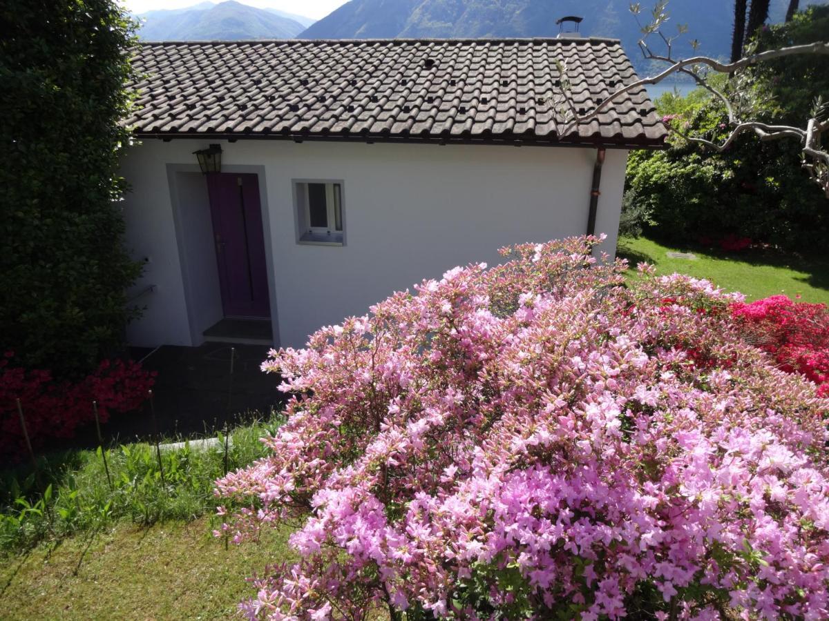 Residenza Paradiso Di Vacanze Minusio 외부 사진