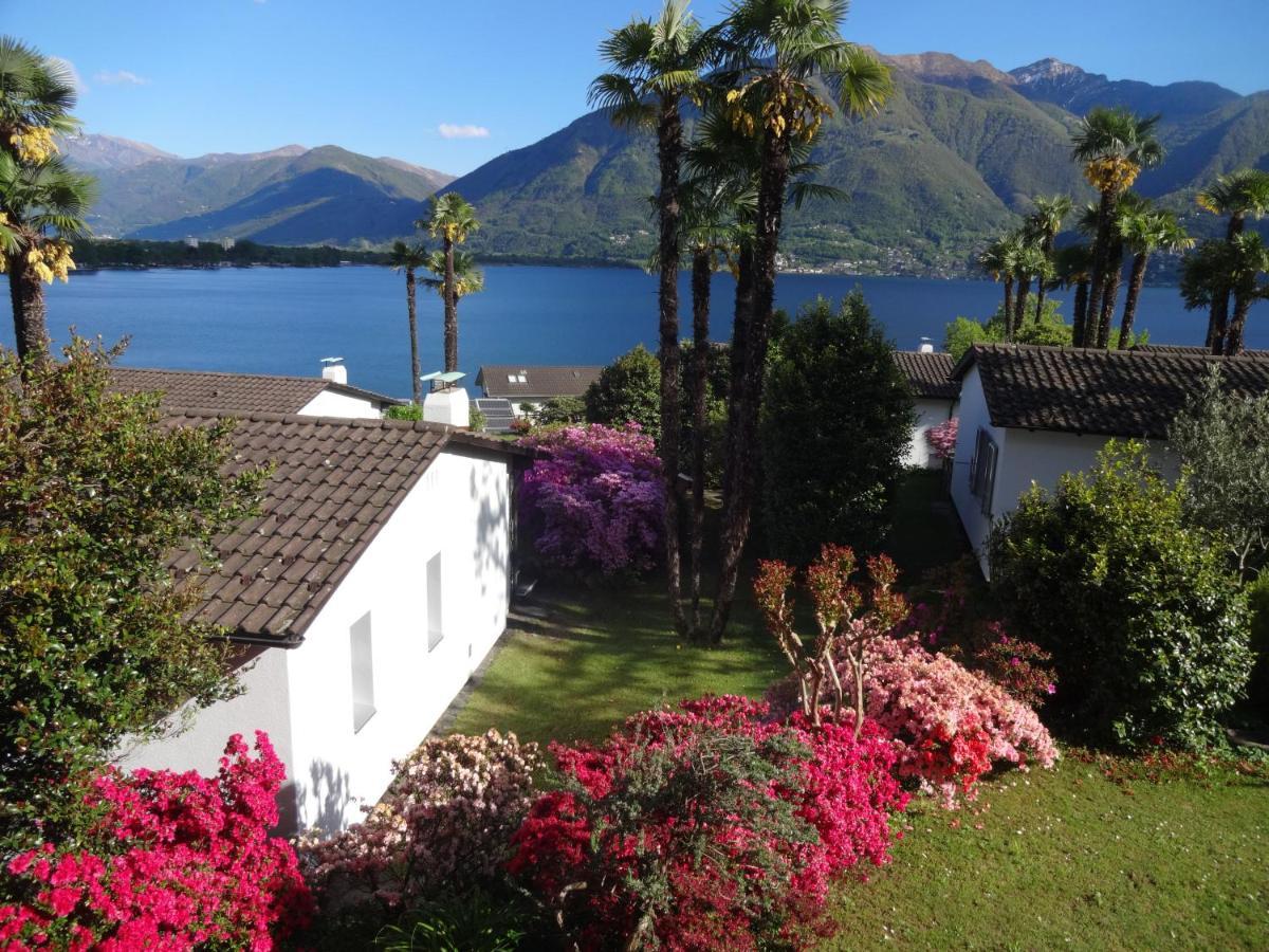 Residenza Paradiso Di Vacanze Minusio 외부 사진