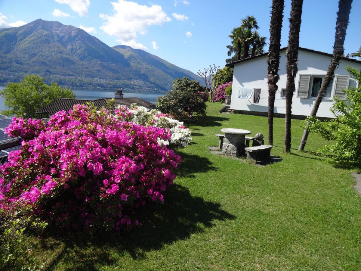 Residenza Paradiso Di Vacanze Minusio 외부 사진