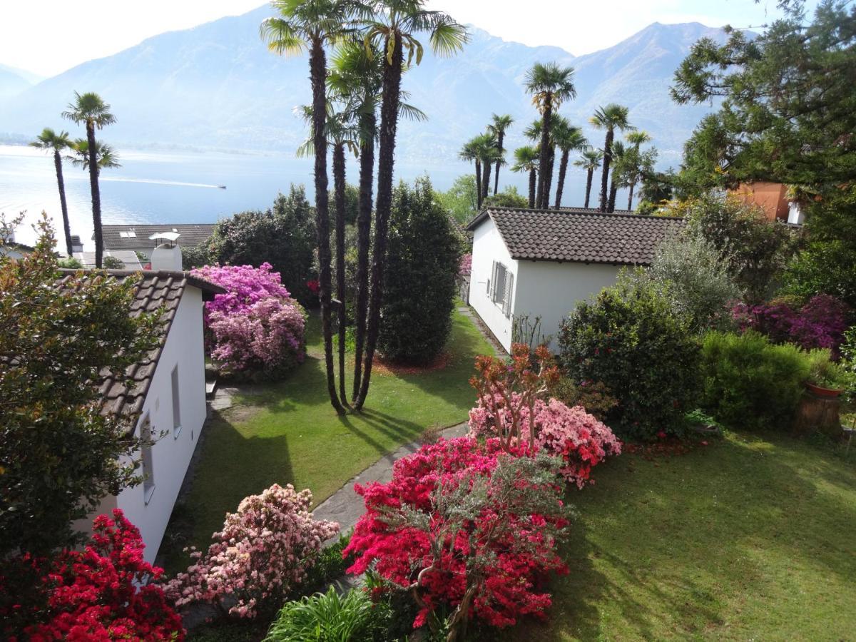 Residenza Paradiso Di Vacanze Minusio 외부 사진