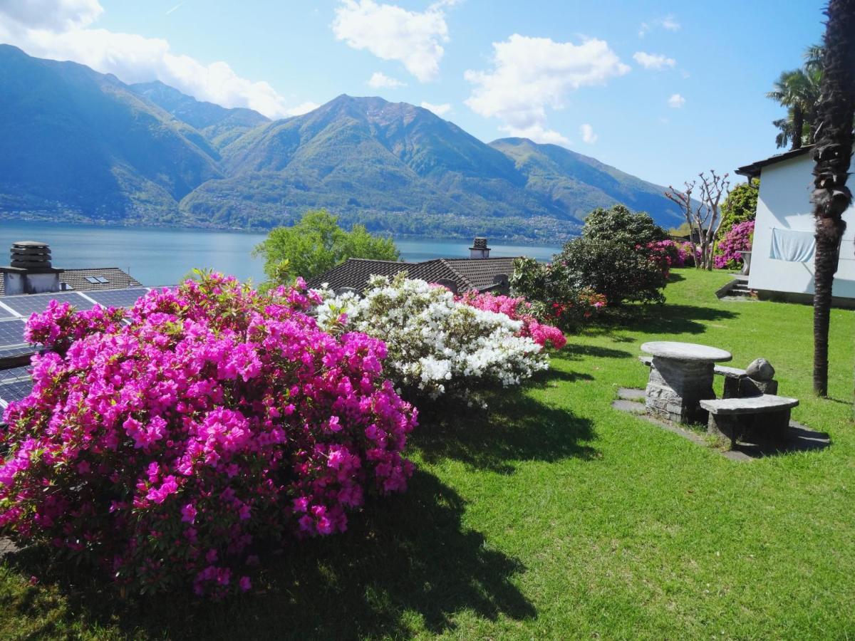 Residenza Paradiso Di Vacanze Minusio 외부 사진